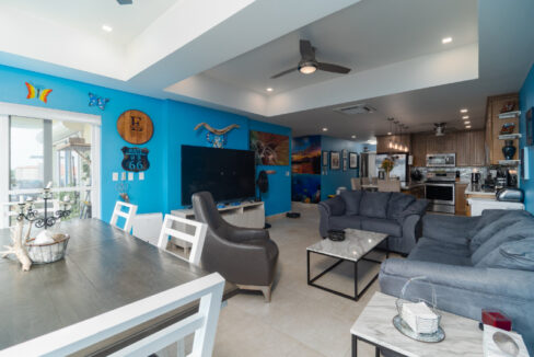 CoconutsBlue-6