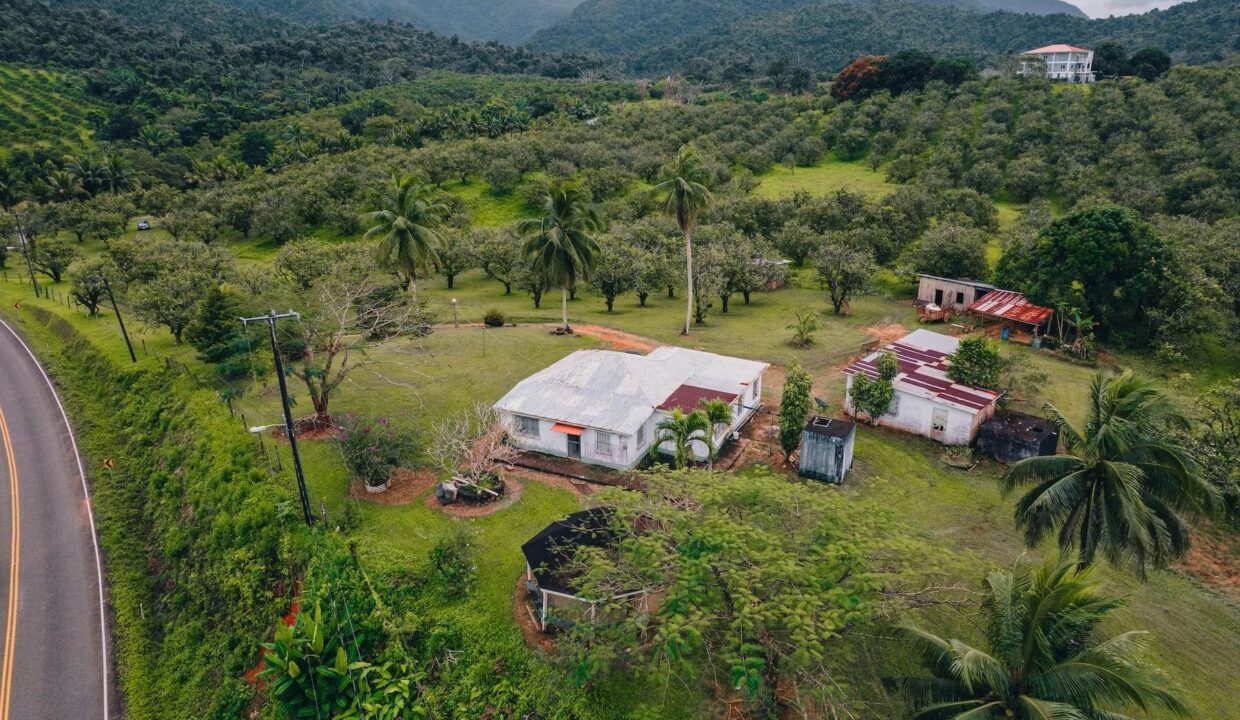 Commercial20Property