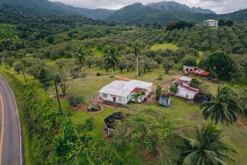 Commercial20Property