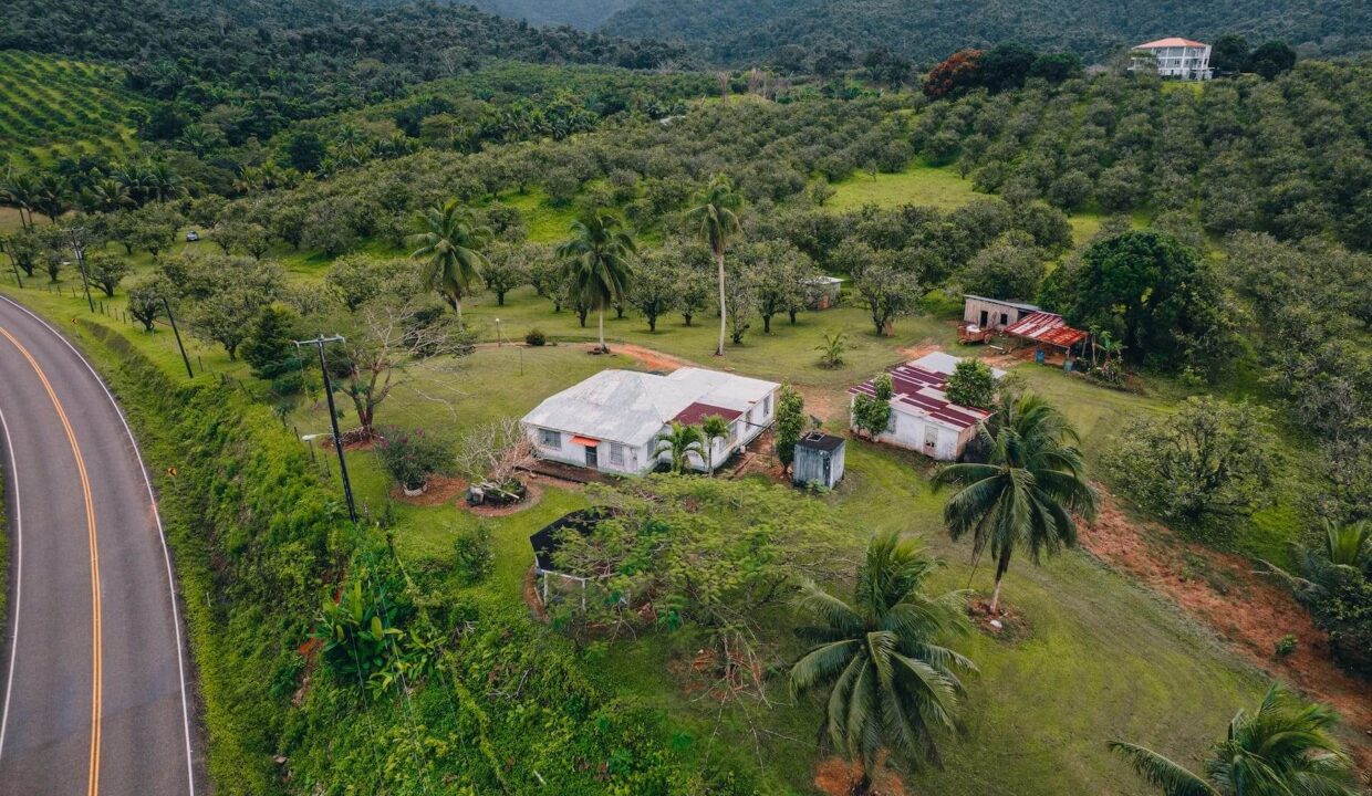 Commercial20Property2028129