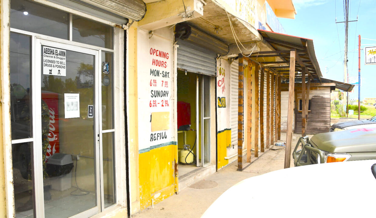 Commercial20Property20along20Highway20Ladyville019