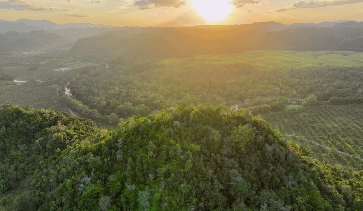 DJI_0215