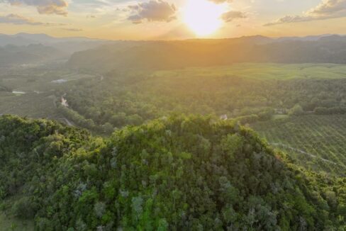 DJI_0215