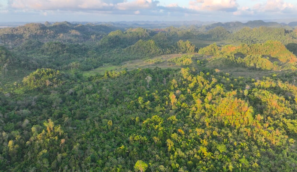 DJI_0216