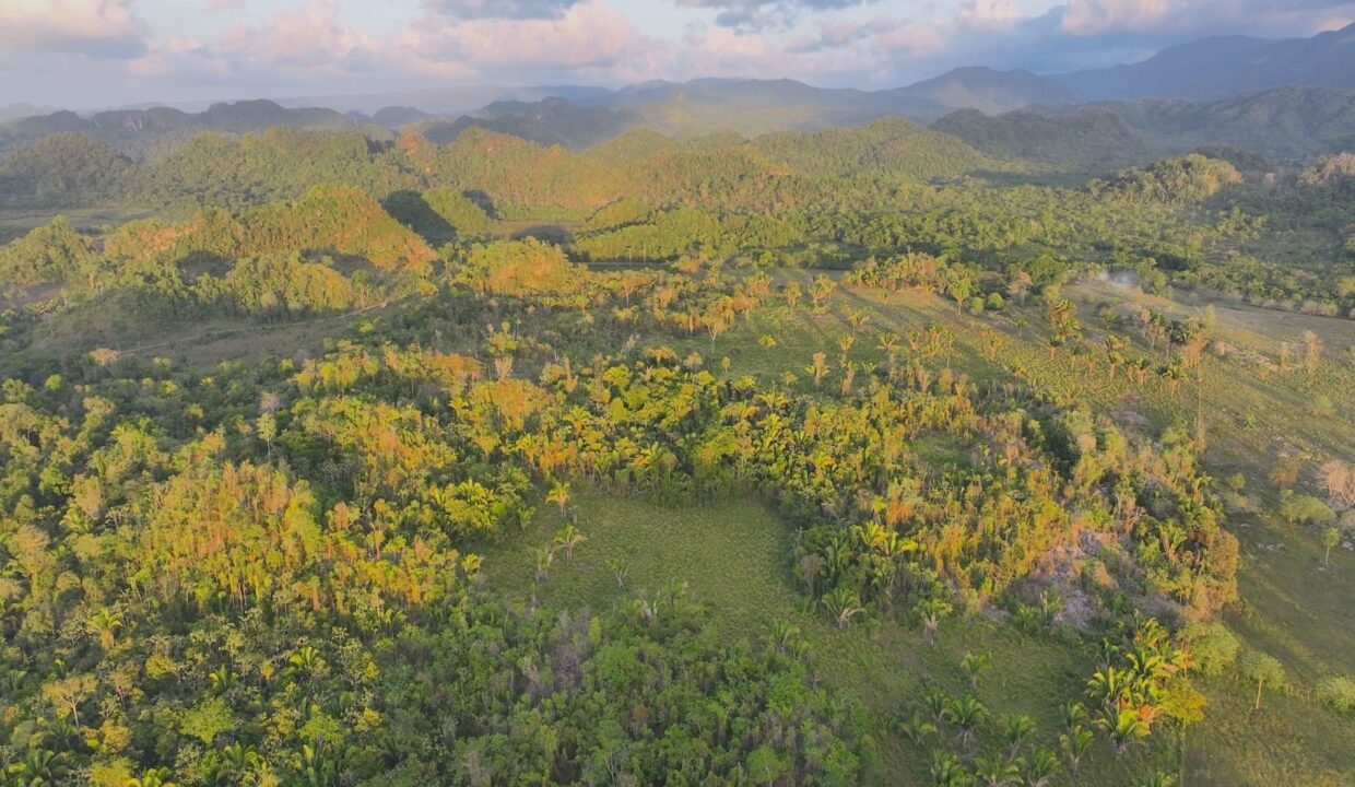 DJI_0217