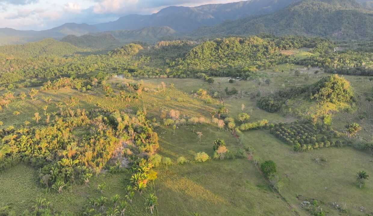 DJI_0219