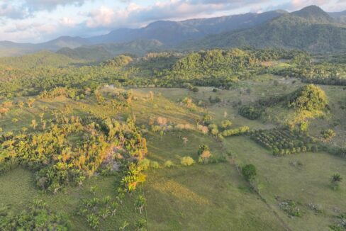 DJI_0219