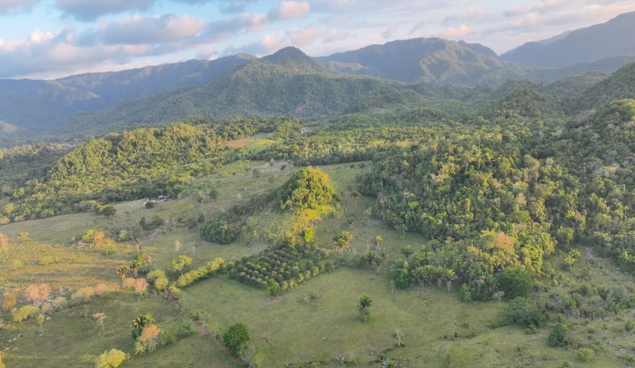 DJI_0221