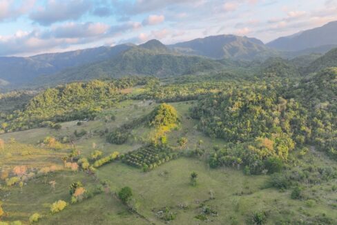 DJI_0221