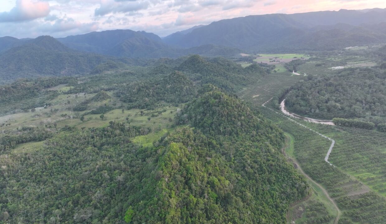DJI_0229