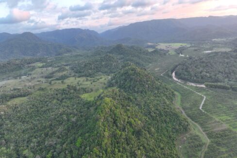 DJI_0229