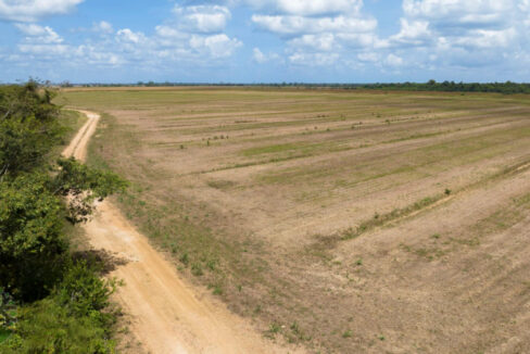 DJI_0429