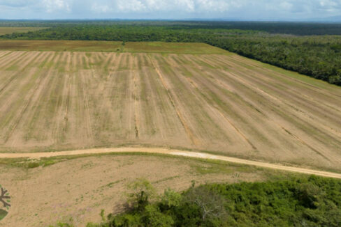 DJI_0431