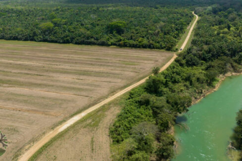 DJI_0432