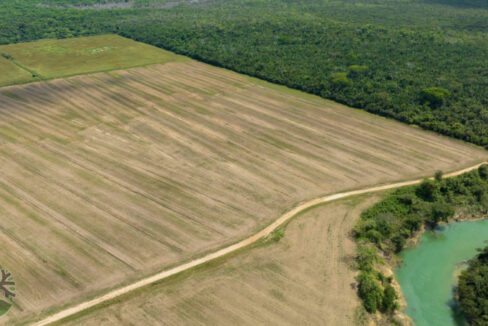 DJI_0435