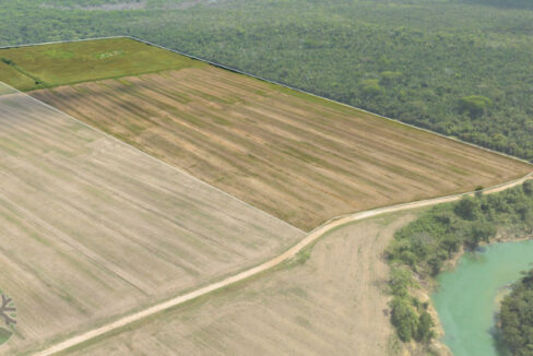 DJI_0435-Outline