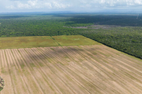 DJI_0436