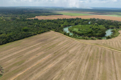 DJI_0440