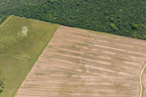 DJI_0446
