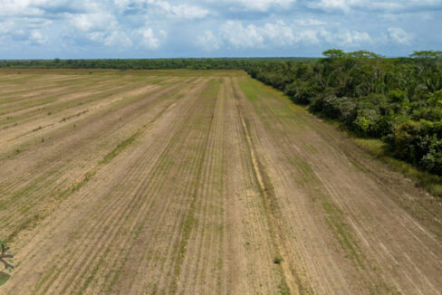 DJI_0455