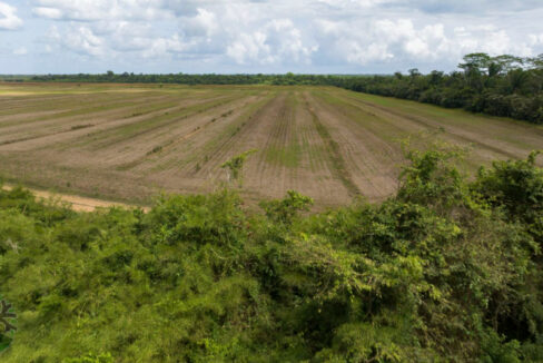 DJI_0486