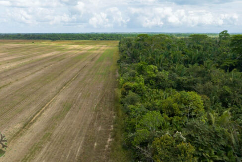 DJI_0491