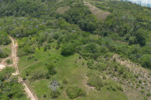 DJI_0560-HDR