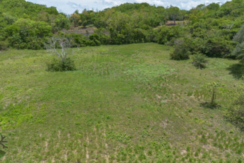 DJI_0567-HDR