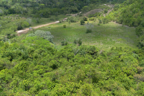 DJI_0591-HDR-1