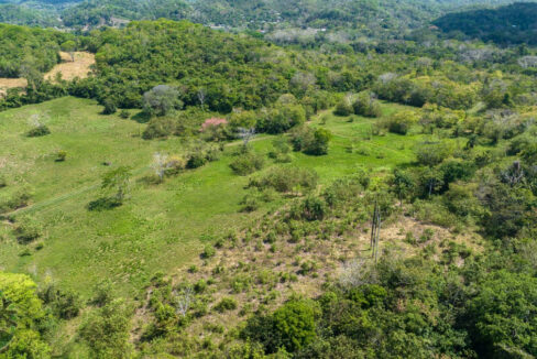 DJI_0646