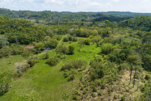 DJI_0648