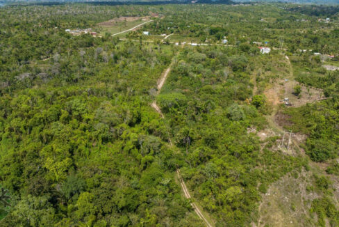 DJI_0649