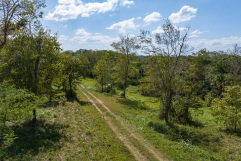 DJI_0686-1