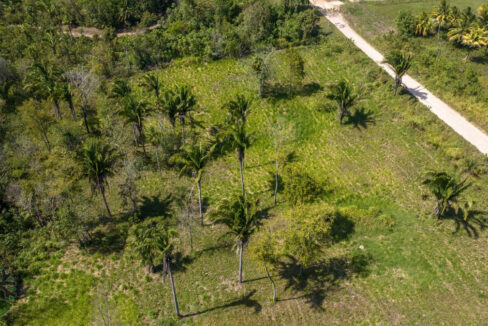 DJI_0690