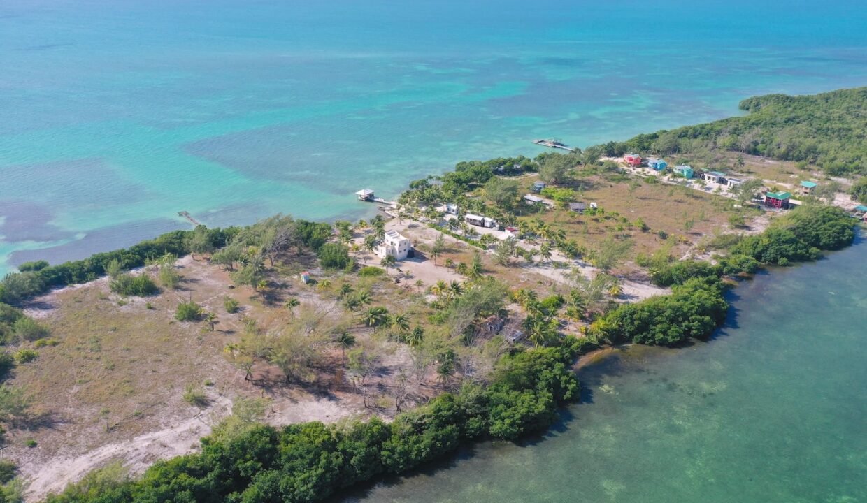 DJI_0785