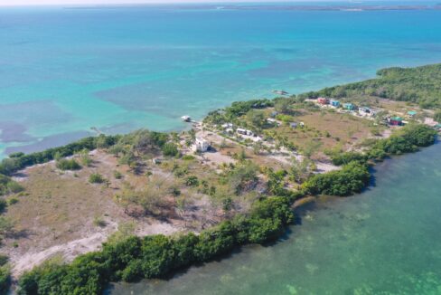 DJI_0785