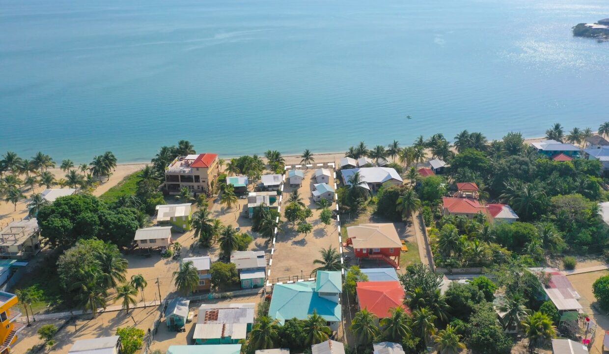 DJI_0856