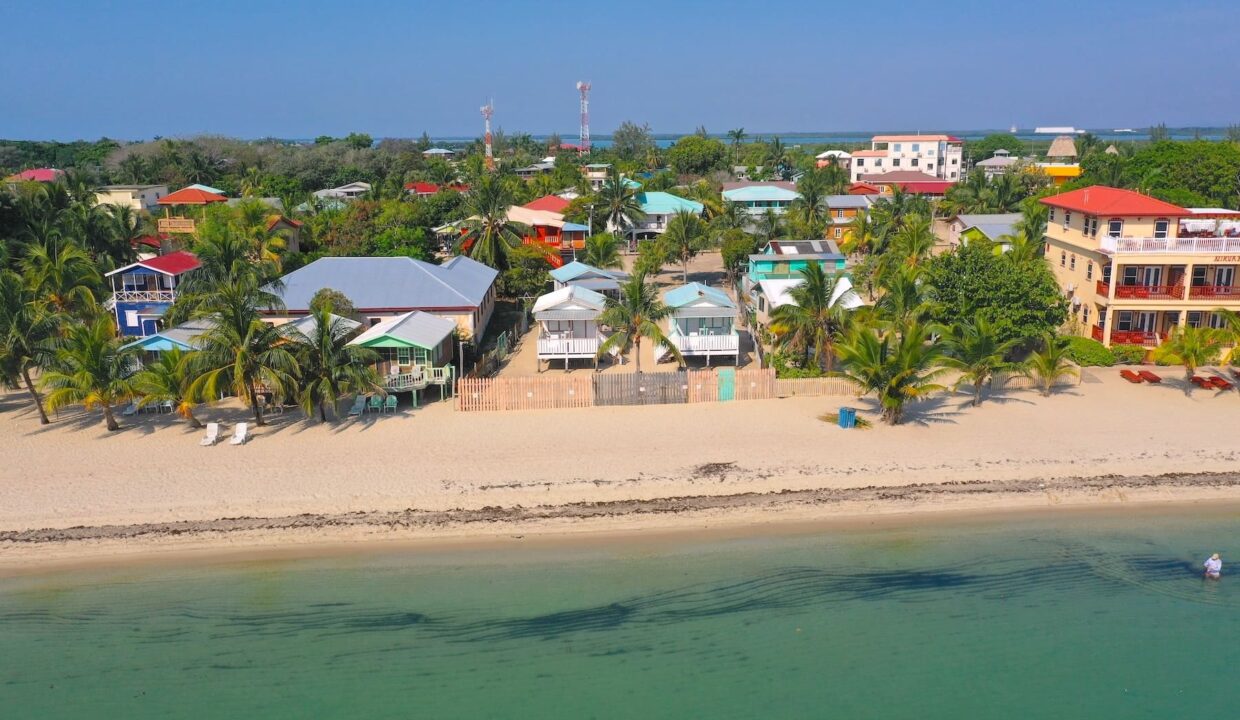 DJI_0867