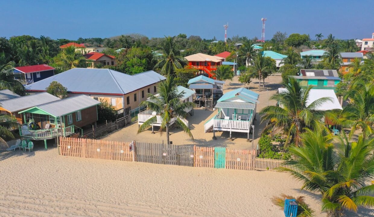 DJI_0869