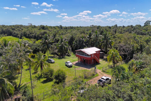 DJI_20250225120508_0001_D