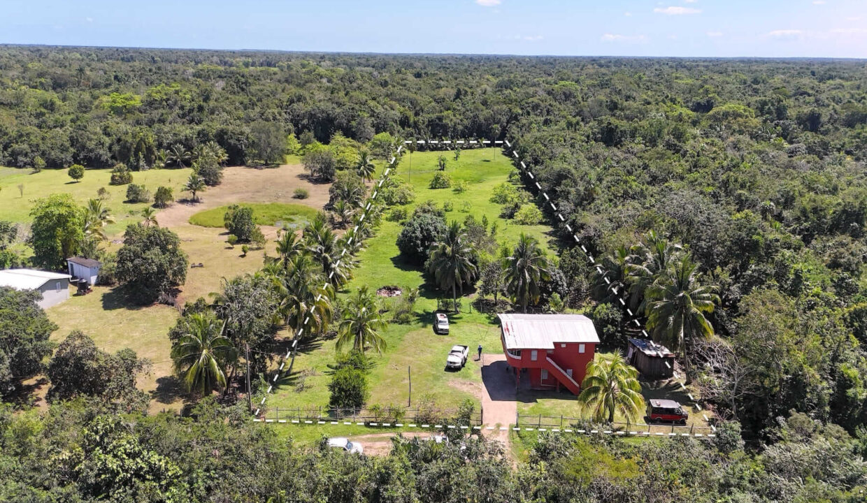 DJI_20250225120549_0003_D