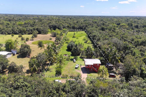 DJI_20250225120549_0003_D