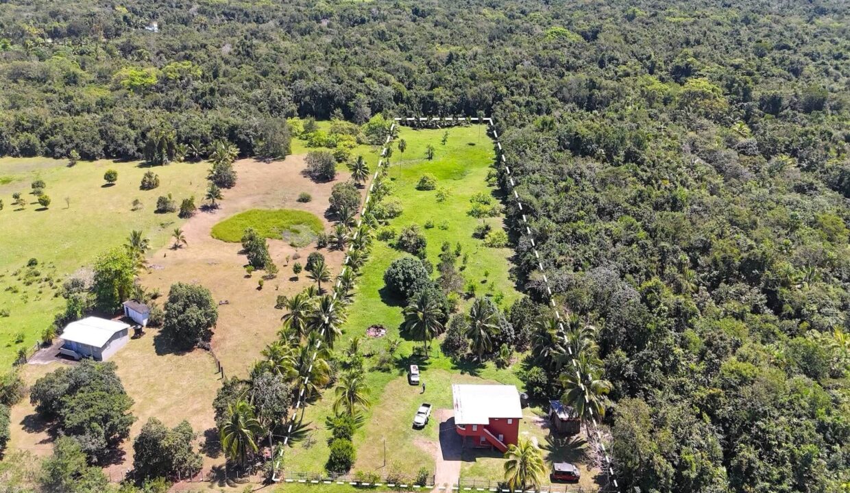 DJI_20250225120601_0004_D