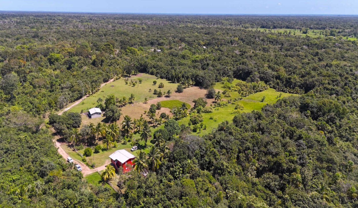 DJI_20250225120627_0006_D