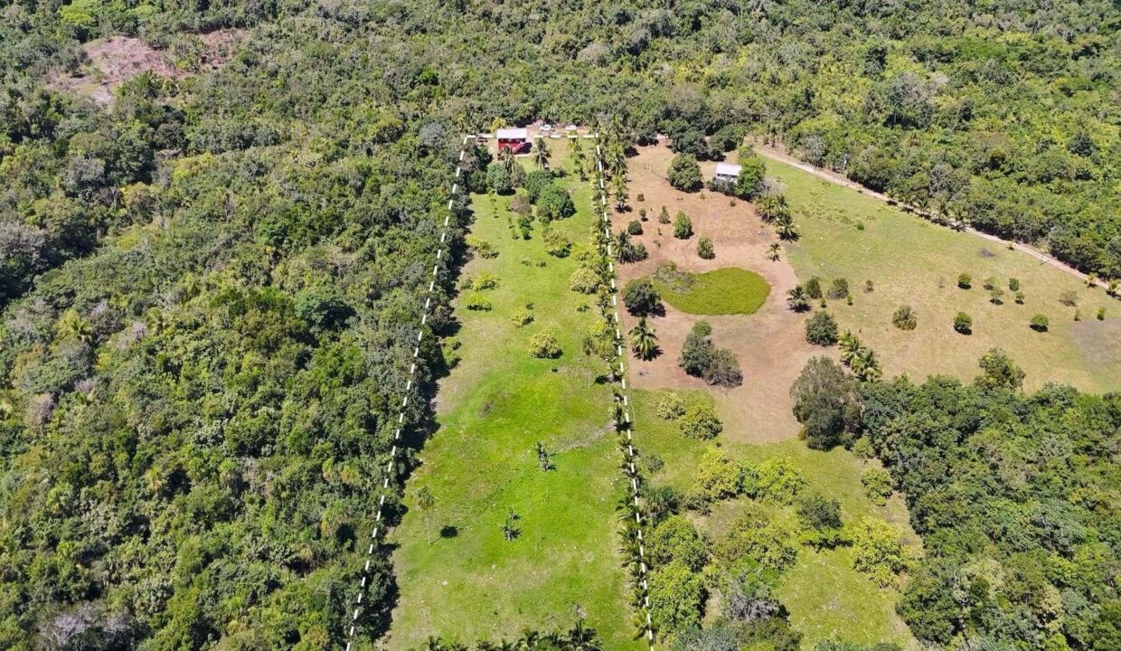 DJI_20250225120730_0008_D