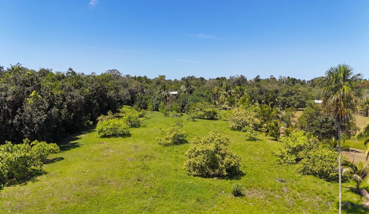 DJI_20250225120804_0010_D