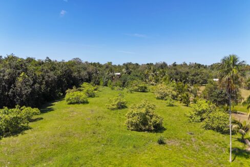 DJI_20250225120804_0010_D
