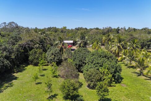 DJI_20250225120817_0011_D