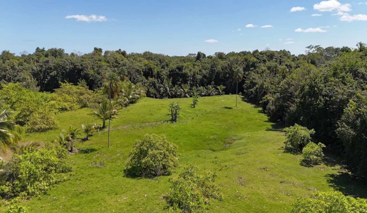 DJI_20250225120828_0012_D