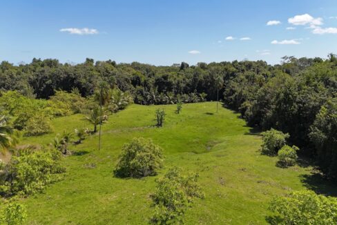 DJI_20250225120828_0012_D